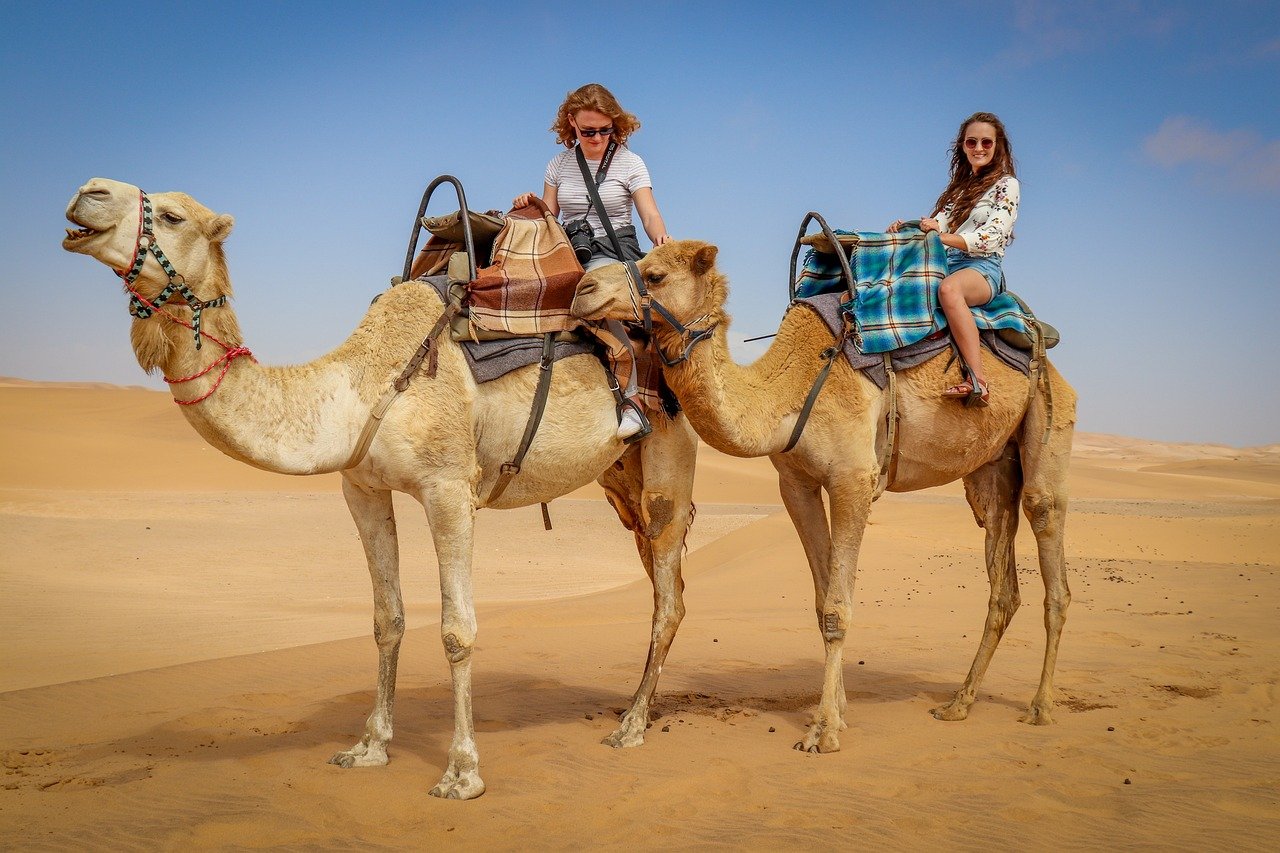 camel excursion to Agadir